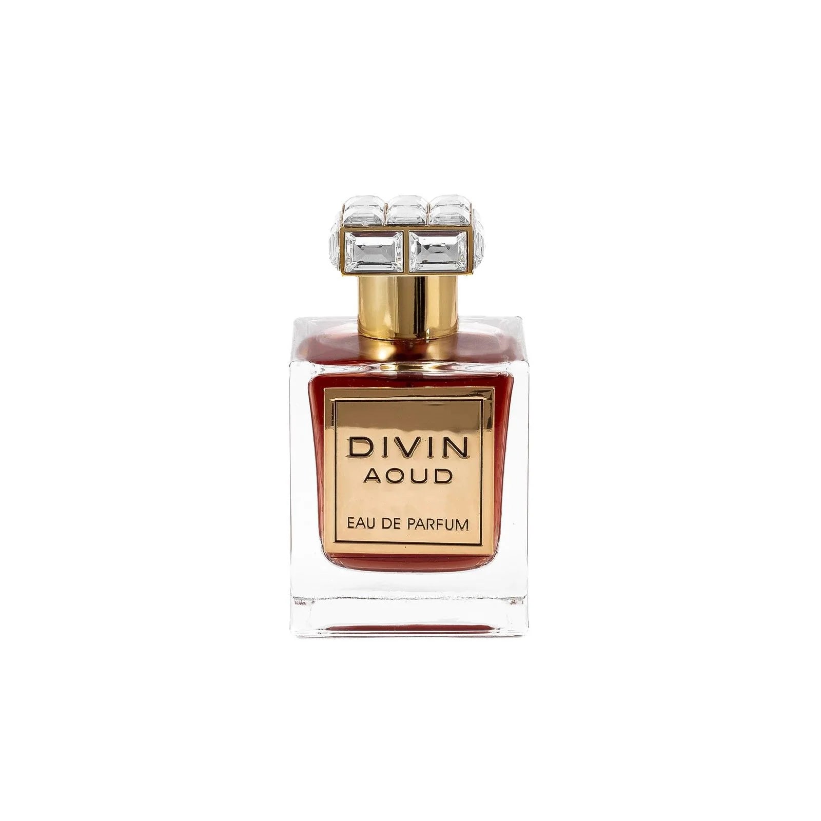 Divin Aoud 100ml EDP by FA Paris (Fragrance World)