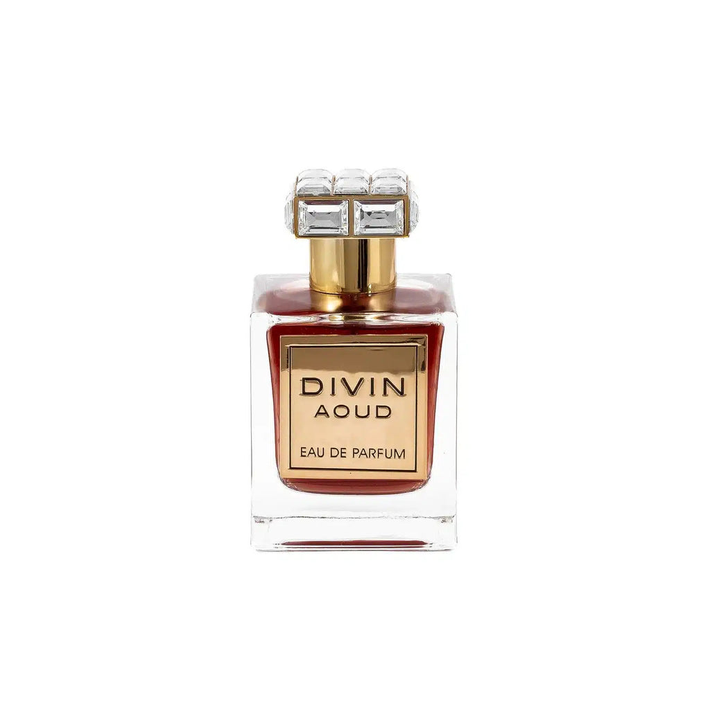 Divin Aoud 100ml EDP by FA Paris (Fragrance World)