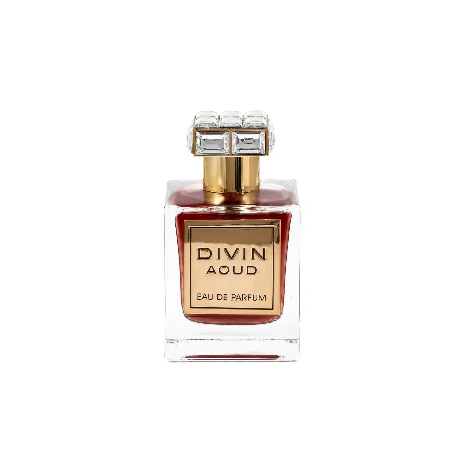 Divin Aoud 100ml EDP by FA Paris (Fragrance World)
