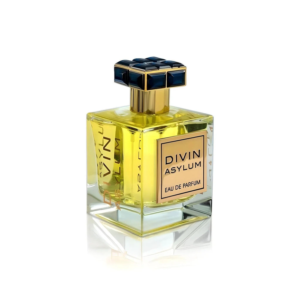 Divin Asylum 100ml EDP by FA Paris (Fragrance World)