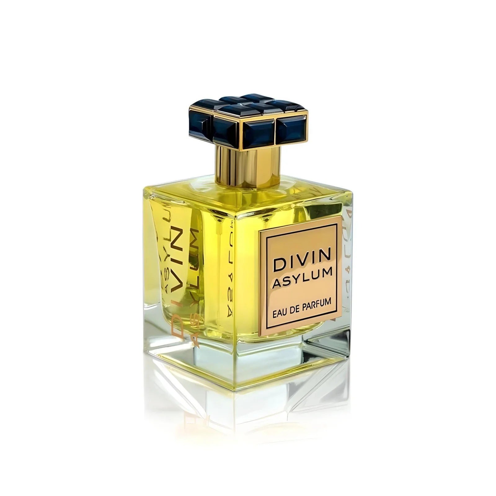 Divin Asylum 100ml EDP by FA Paris (Fragrance World)