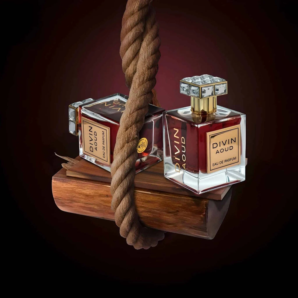 Divin Aoud 100ml EDP by FA Paris (Fragrance World)